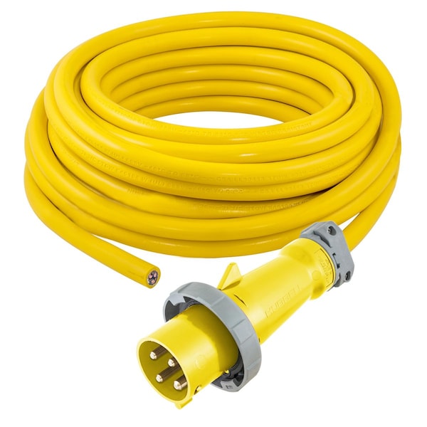 MARINE CABLE SET, 100A 125/250V, 100'